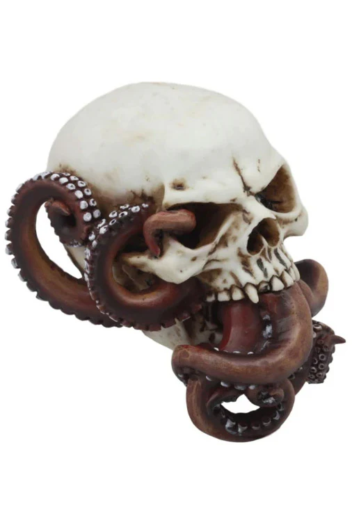 Octopus Skull - Image 2