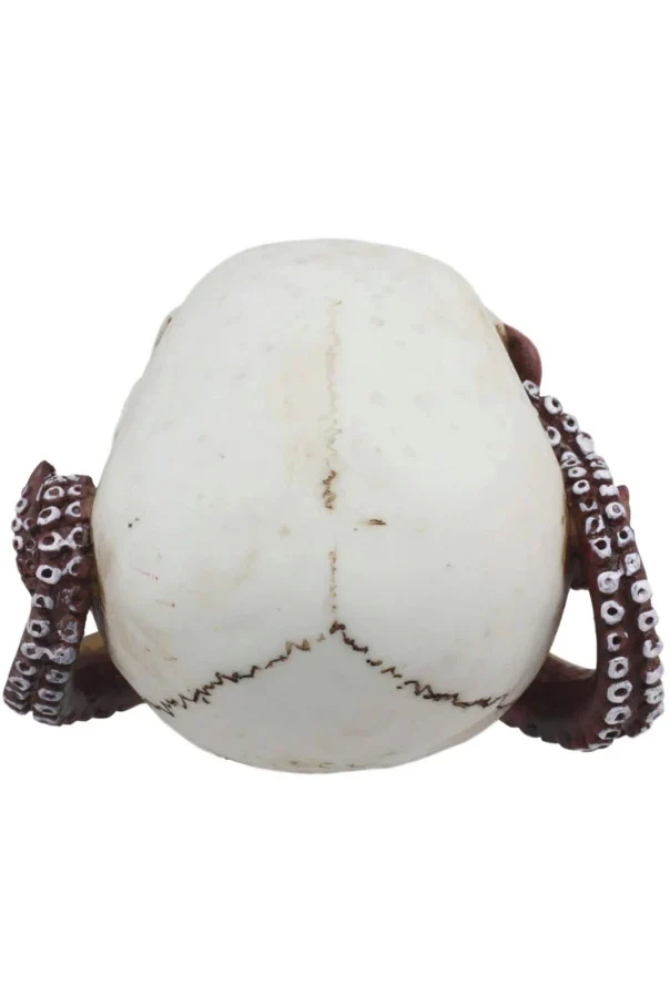 Octopus Skull - Image 3