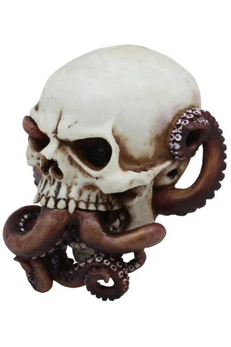 Octopus Skull - Image 4