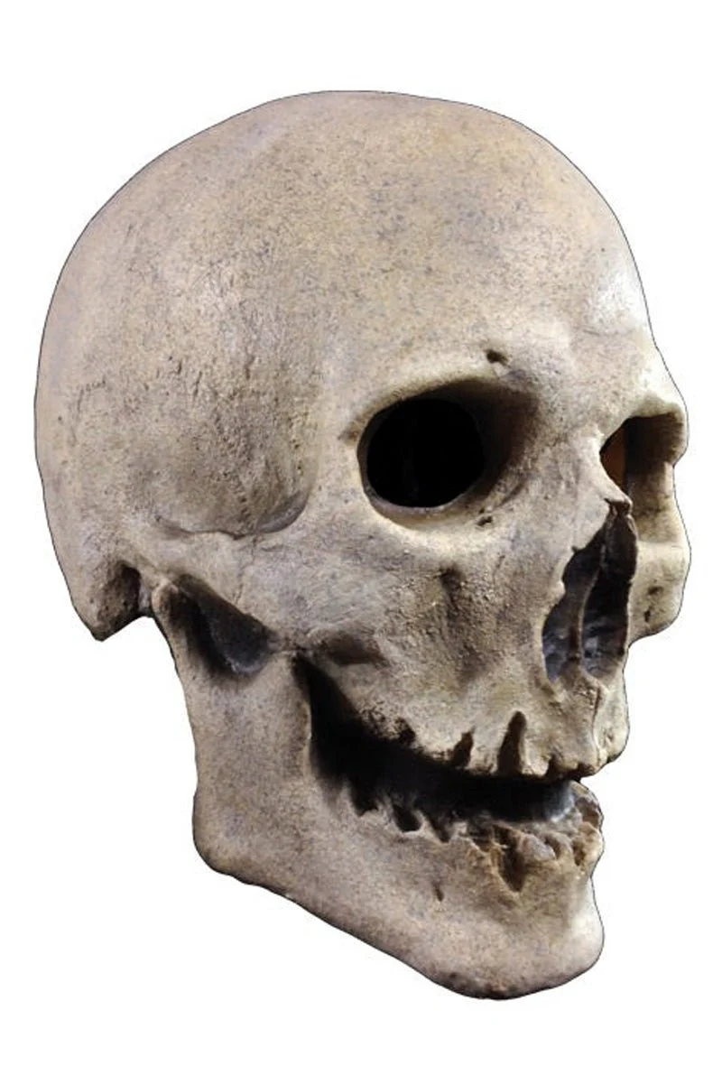 Antique Skull Mask - Image 3