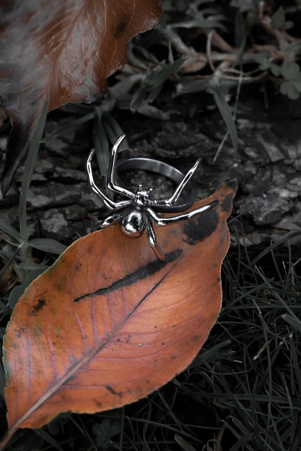 Aranea Ring - Image 9