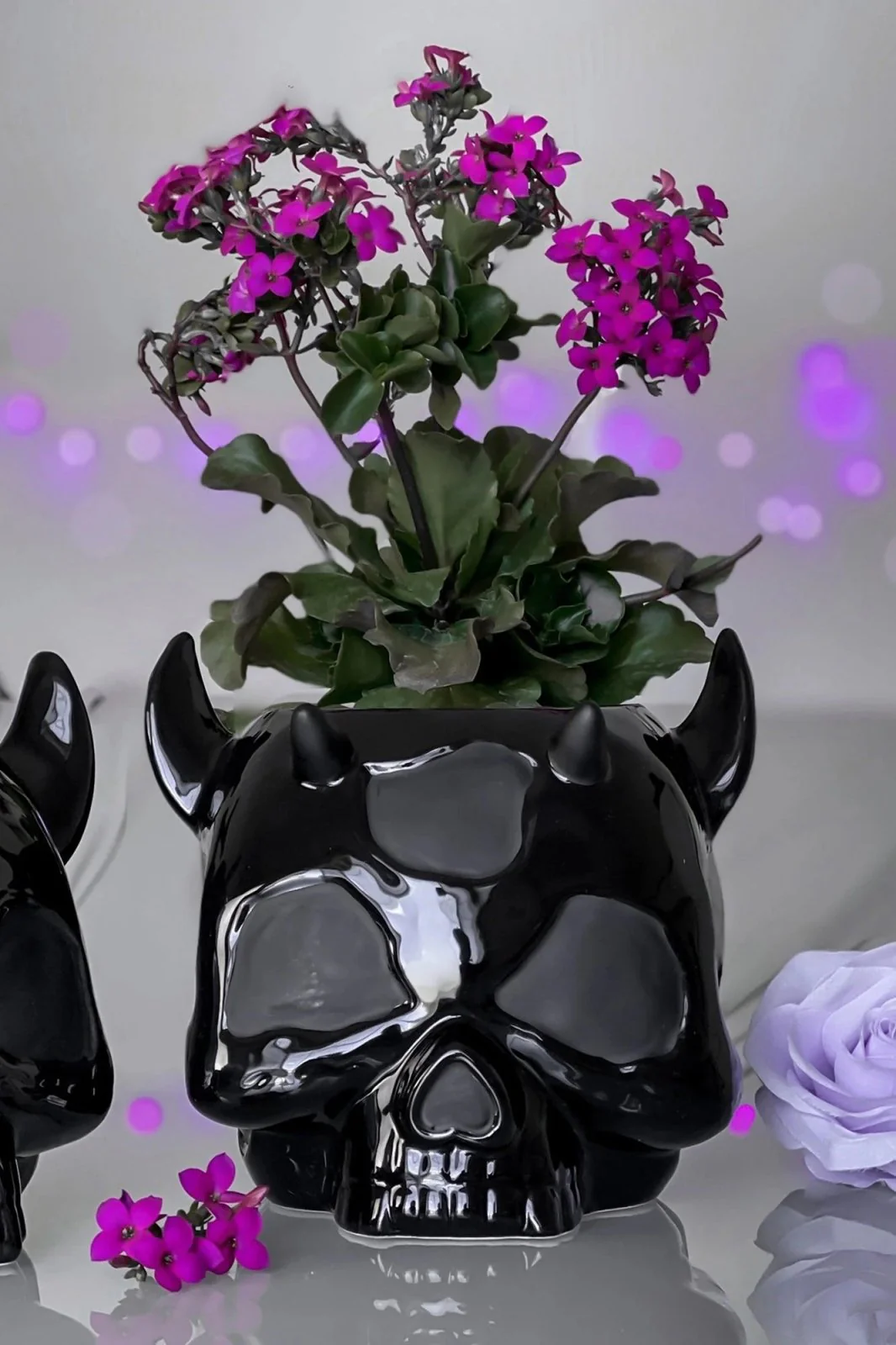 Ashmedai Planter