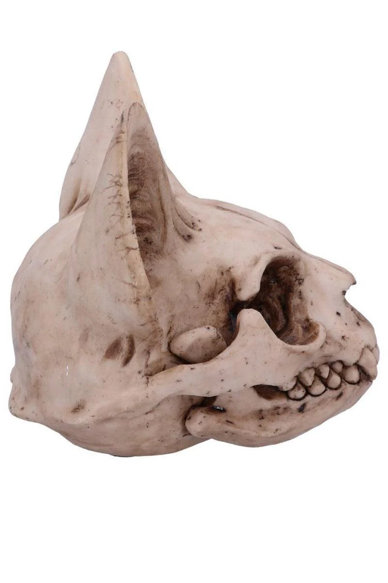 Bastet's Cat Skull Statue - Image 2