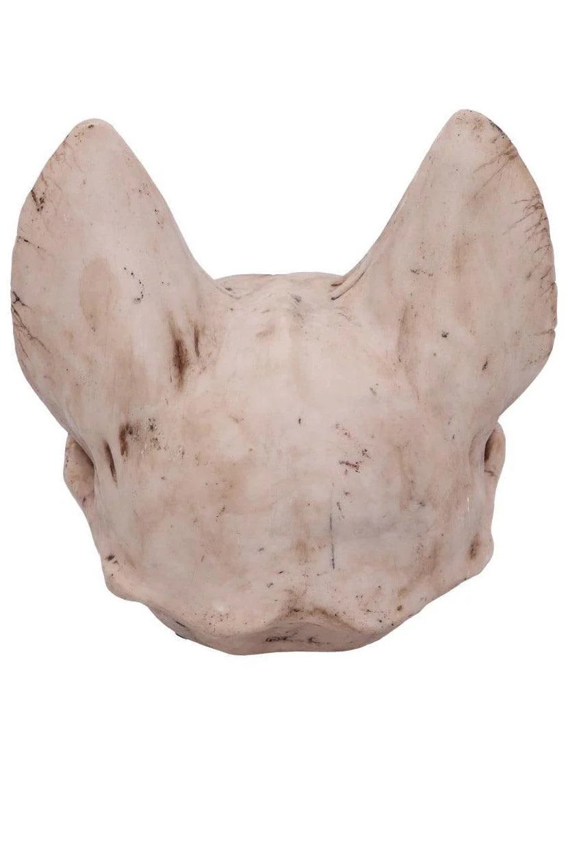 Bastet's Cat Skull Statue - Image 3