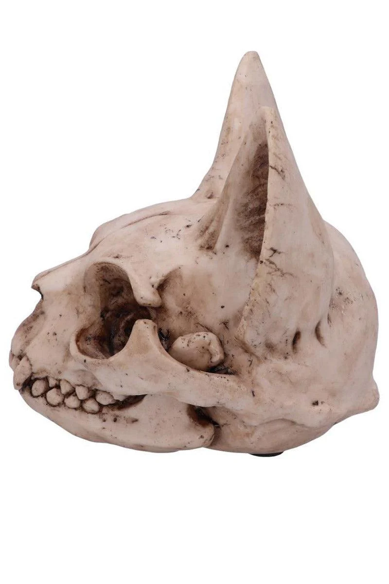 Bastet's Cat Skull Statue - Image 4