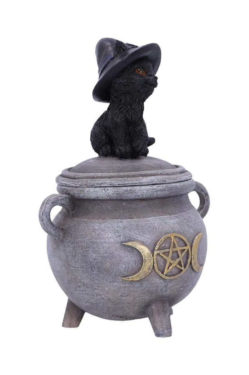 Black Cat Cauldron Box - Image 4