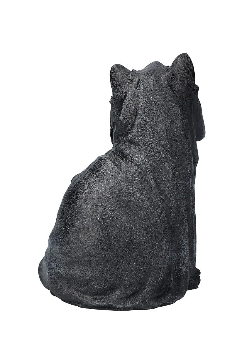 Black Cloak Cat - Image 3