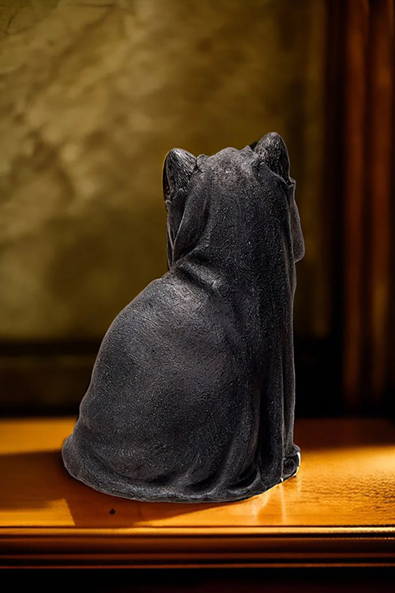 Black Cloak Cat - Image 6