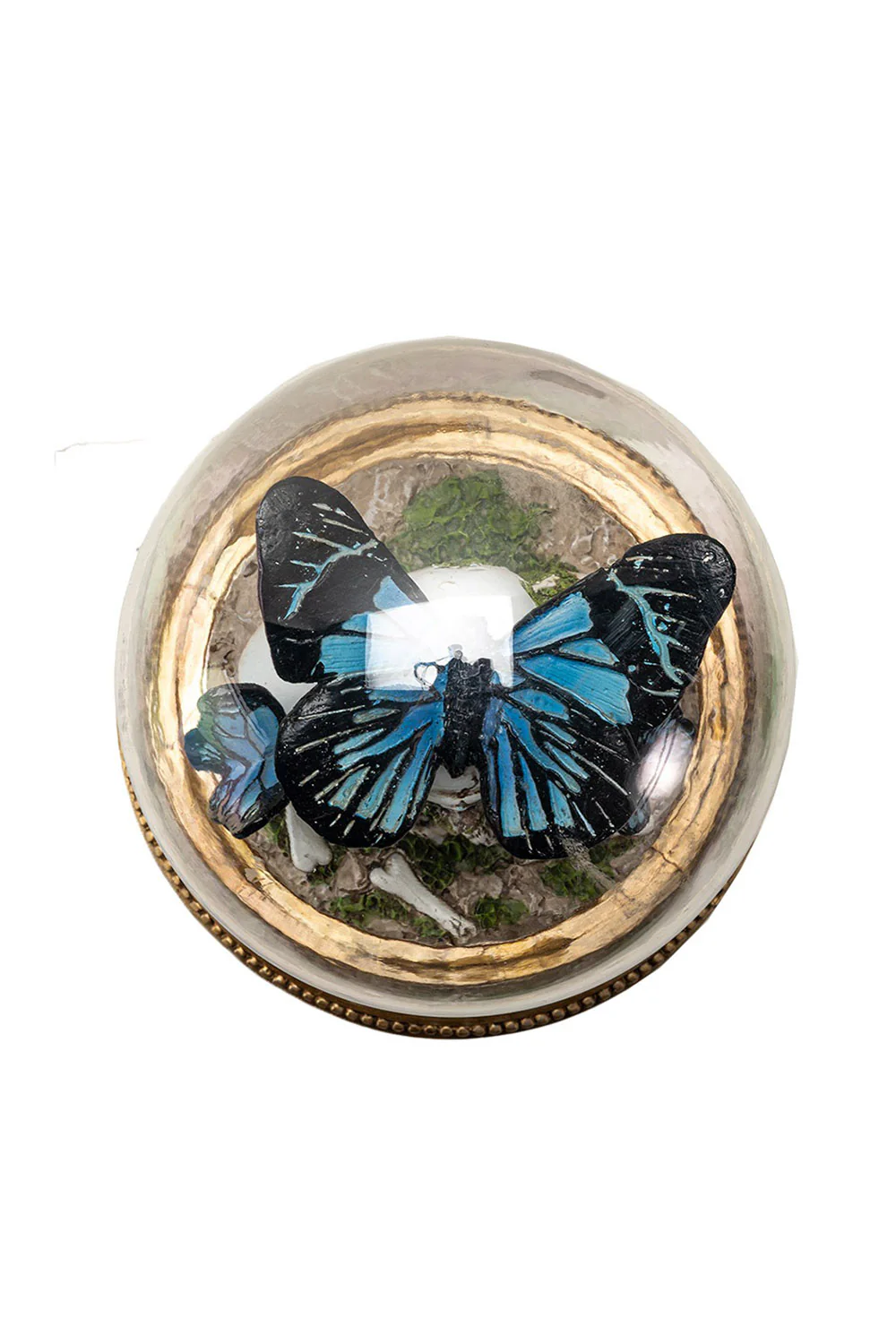 Butterfly Skull Cloche - Image 7