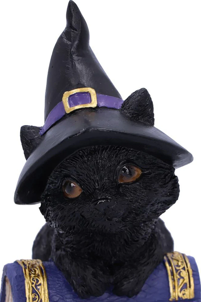 Pocus Black Cat Witch and Spellbook Figurine - Image 6