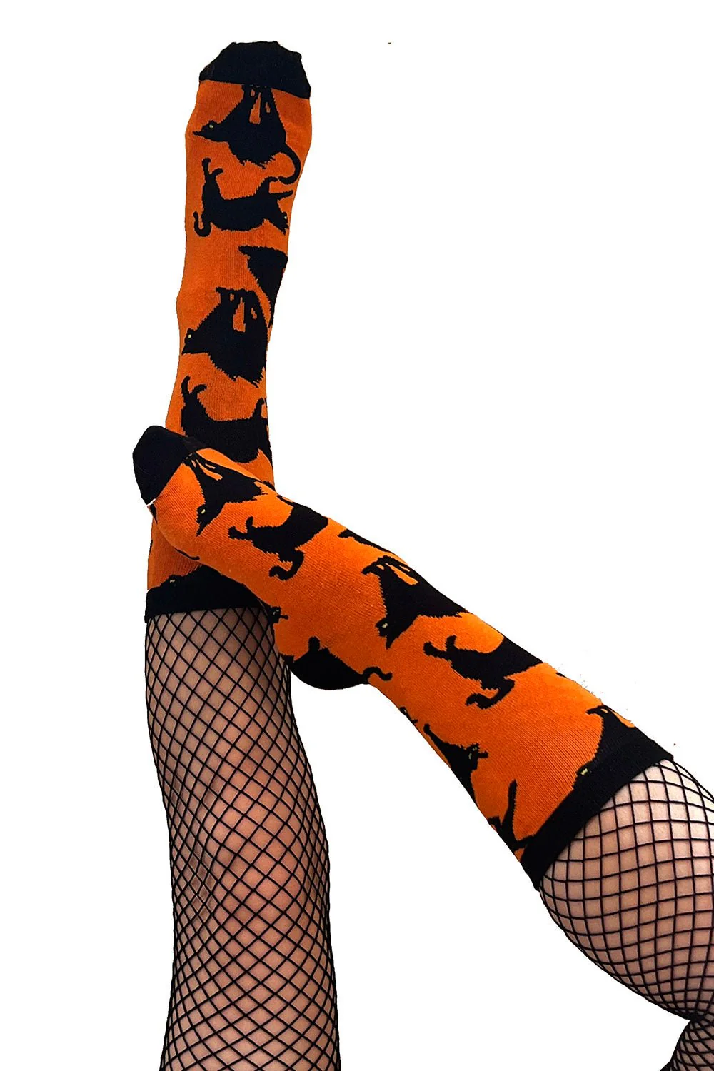 Creepy Crew Socks [Halloween Cats] - Image 4