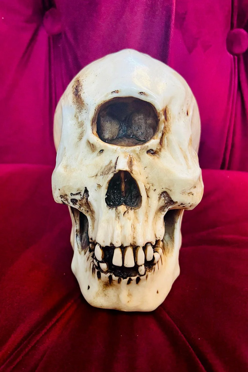 Cyclops Skull Replica - Image 5