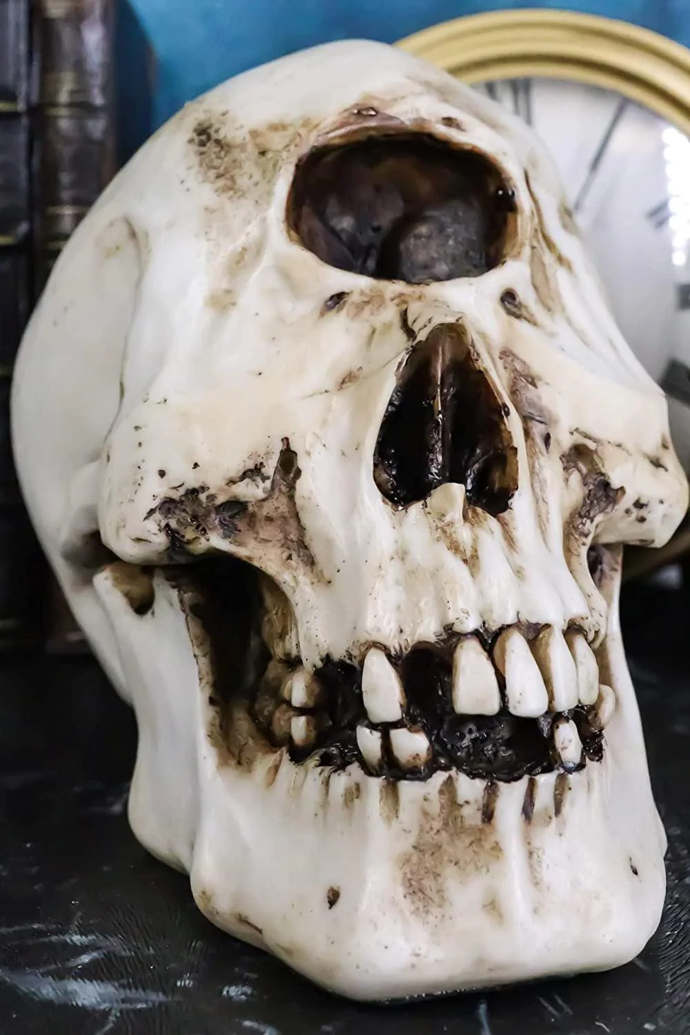 Cyclops Skull Replica - Image 7
