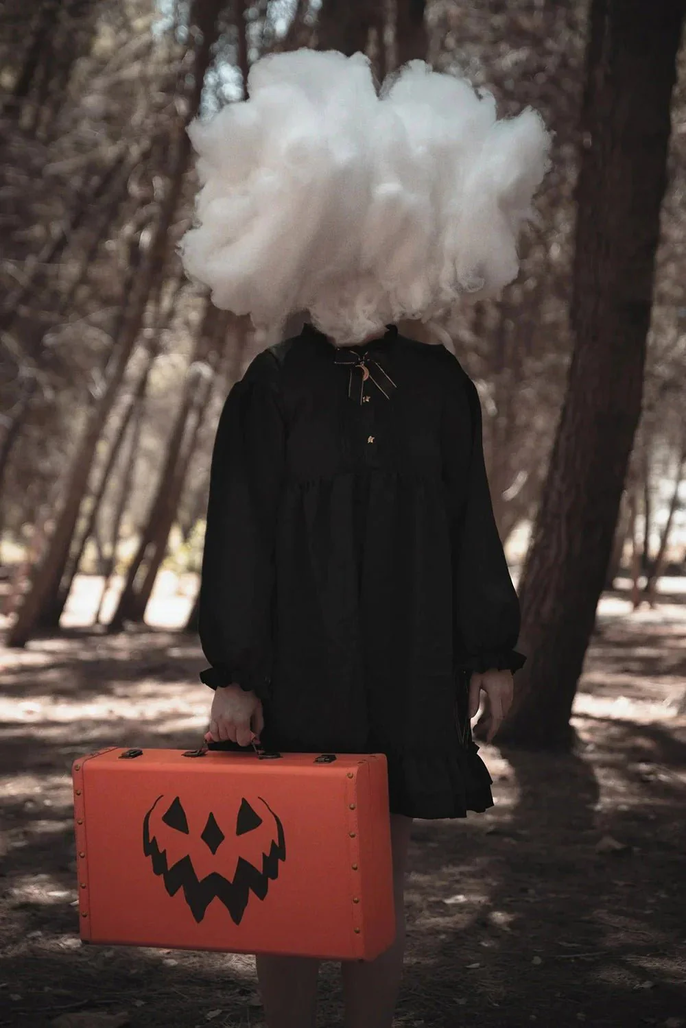 DAMAGED Pumpkin Trunk [Clearance] - Image 2