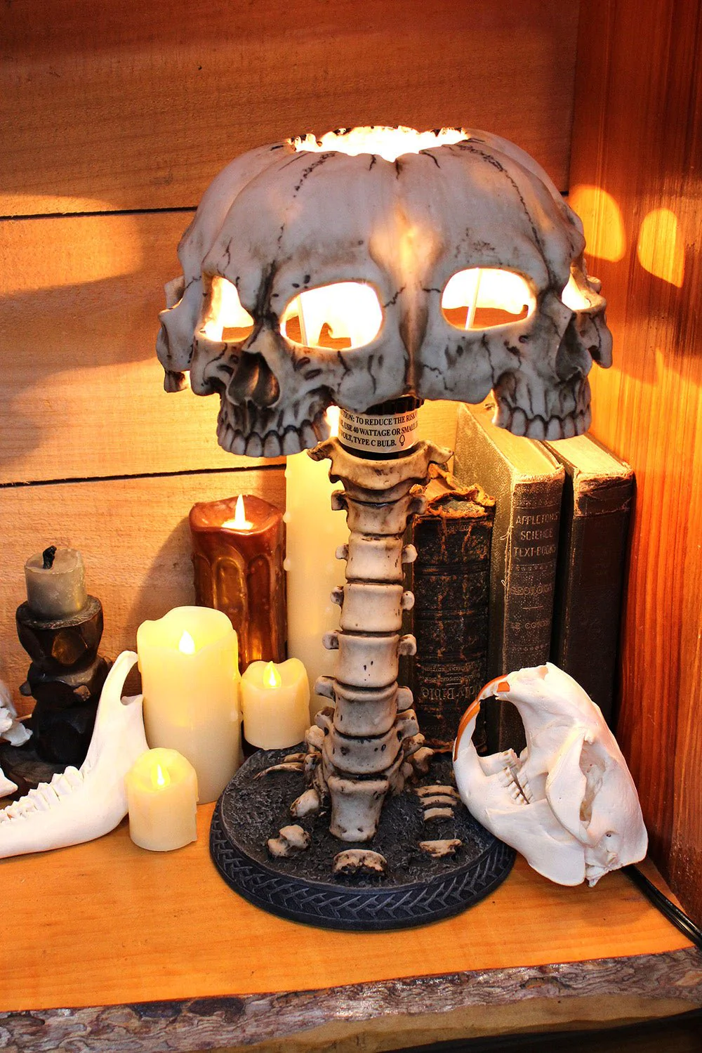 Dead Mans Skull Lamp - Image 6