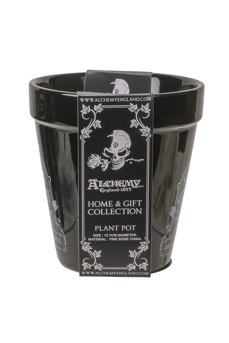 Dead Plant Garden Planter - Image 5