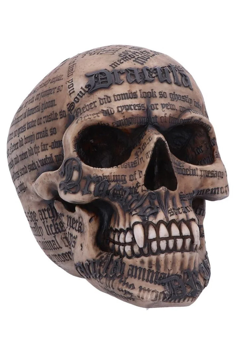 Draculas Tale Skull - Image 2