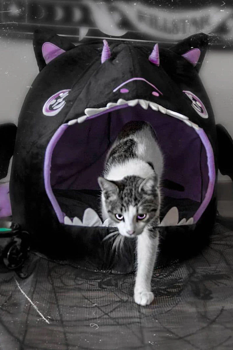 Dragon Baby Pet-Cave Bed - Image 4