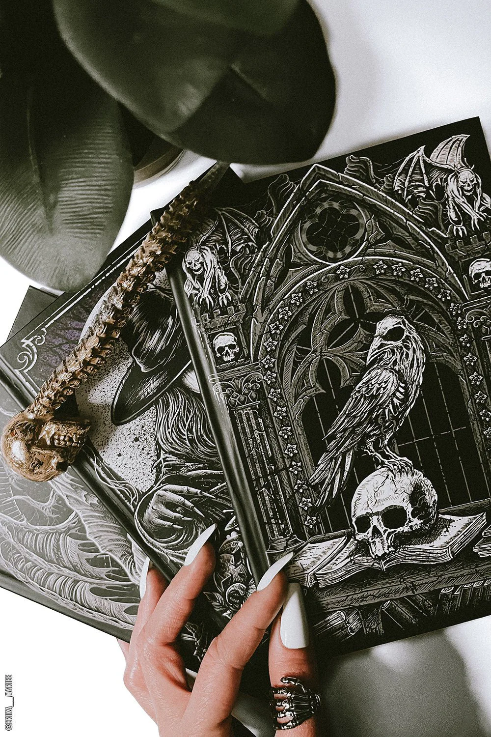 Edgar Allan Poe Raven Journal - Image 10