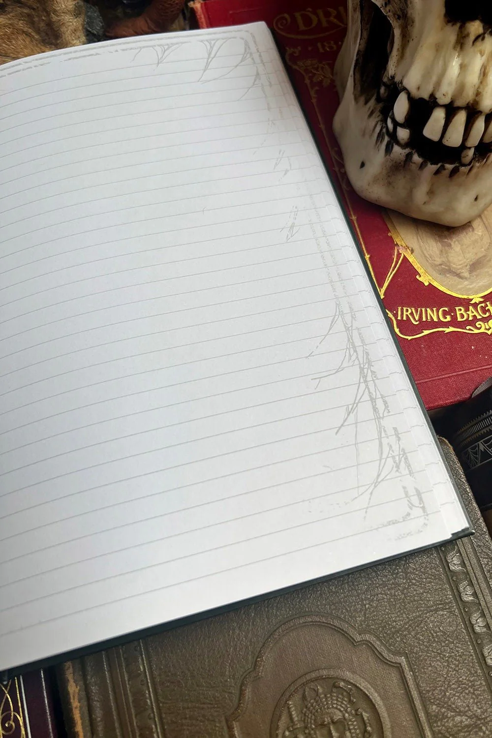 Edgar Allan Poe Raven Journal - Image 6