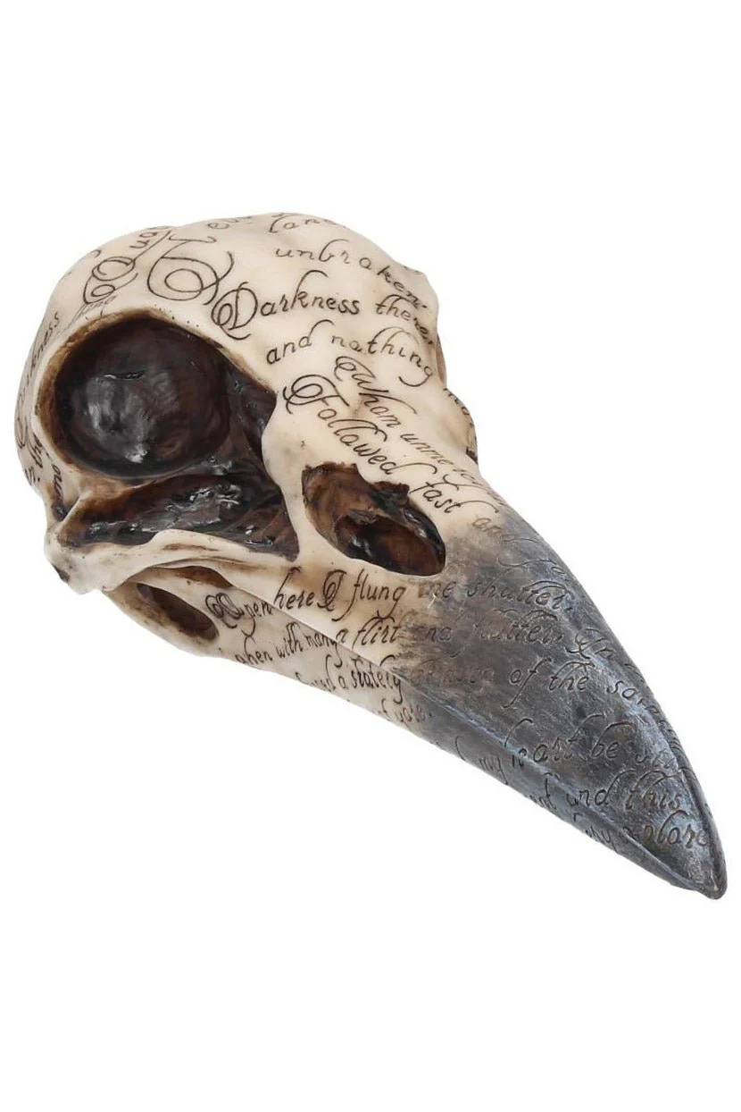 Edgar's Raven Skull Statue - Image 2