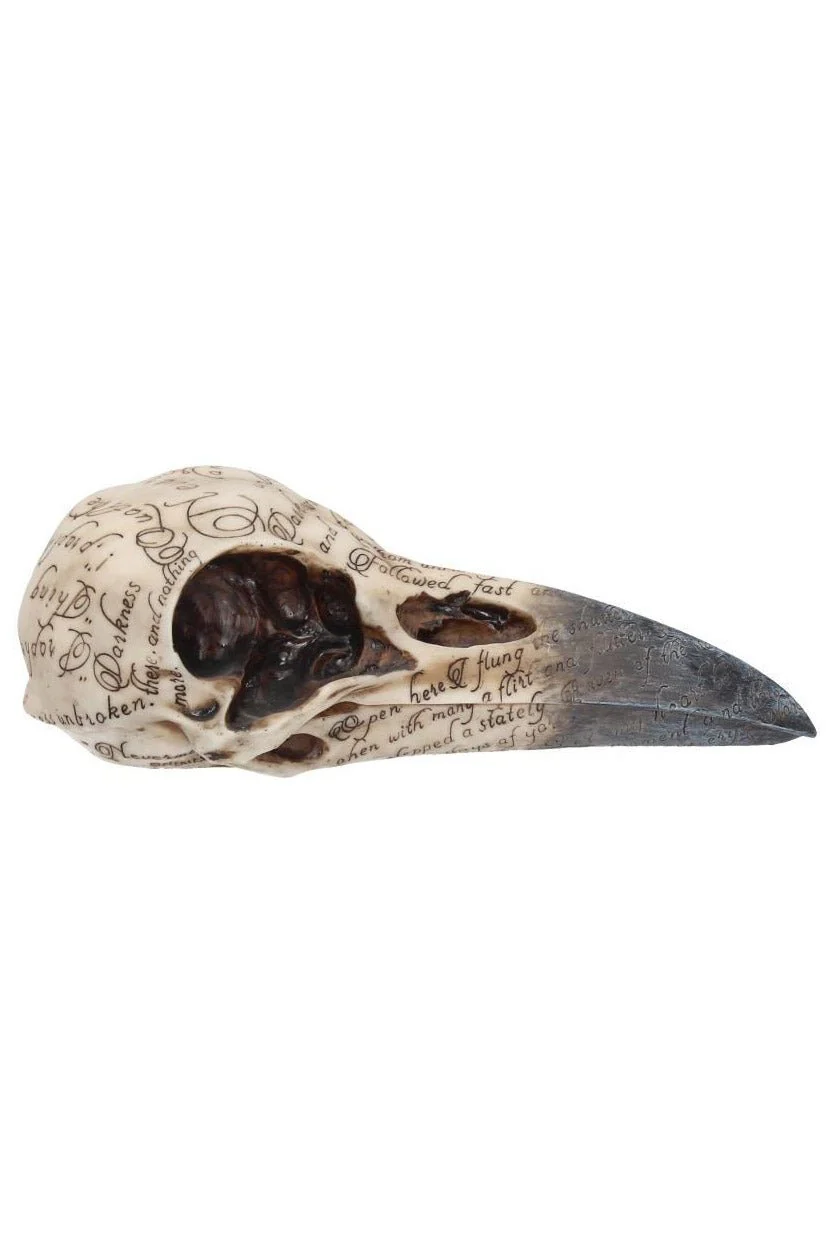 Edgar's Raven Skull Statue - Image 3