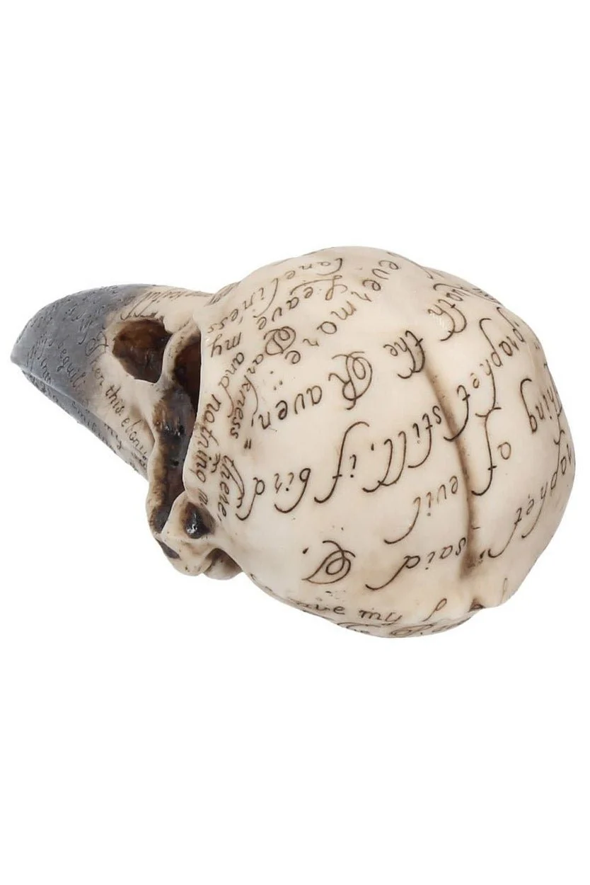 Edgar's Raven Skull Statue - Image 5