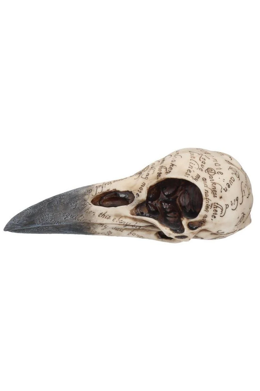Edgar's Raven Skull Statue - Image 6