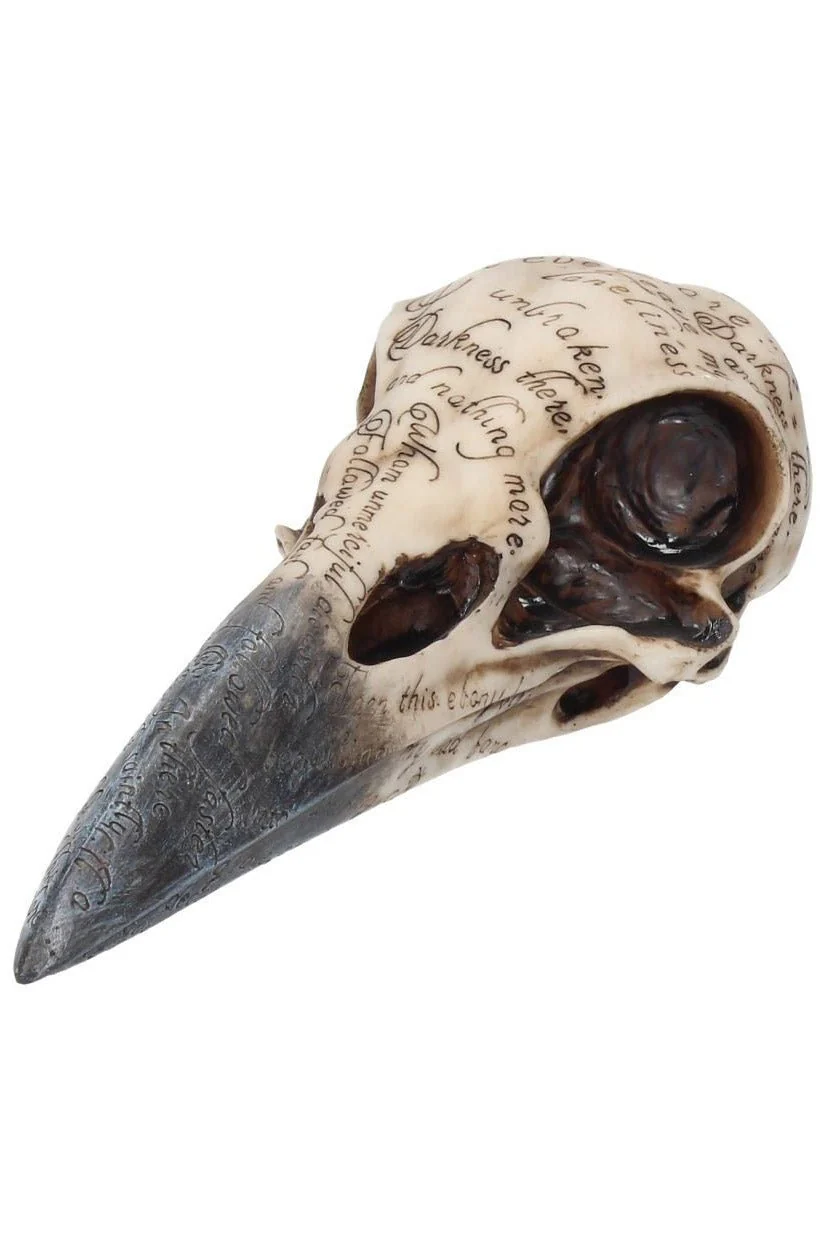 Edgar's Raven Skull Statue - Image 7