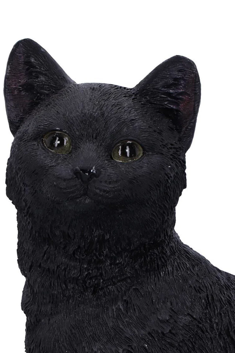 Familiar Fate Black Witches Cat and Skull Figurine - Image 5