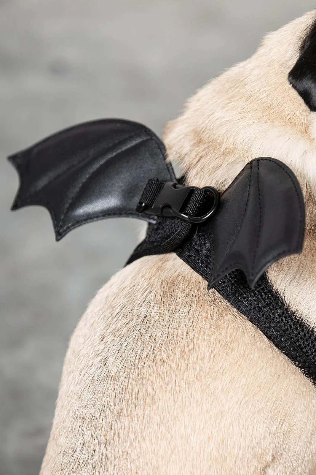 Flutter Pet Harness - Image 2