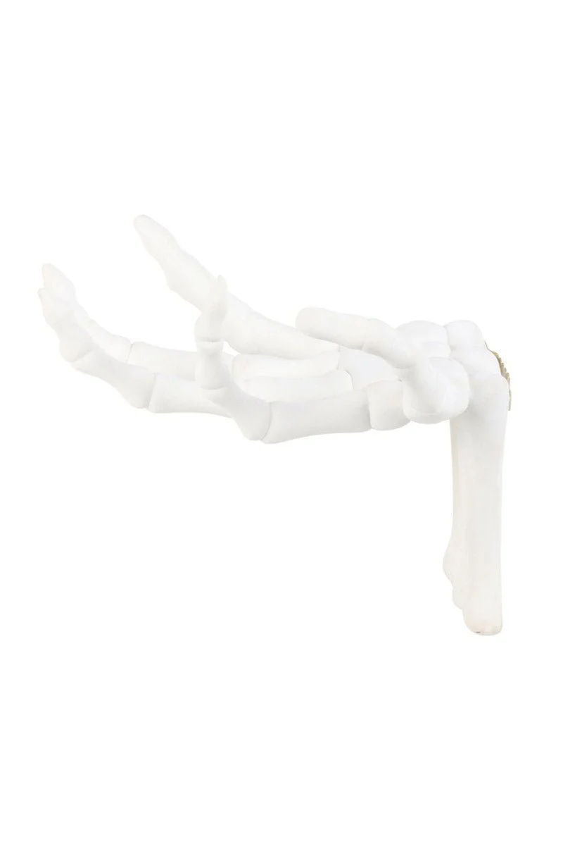 Gothic Halloween Skeleton Hand Wall Hook - Image 3