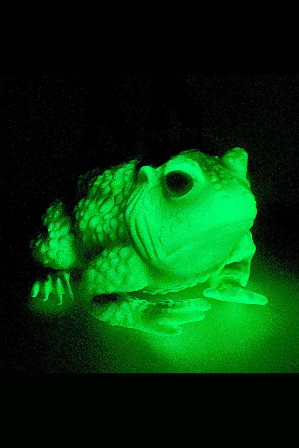 Green Glow in the Dark Toad Bag - Image 6