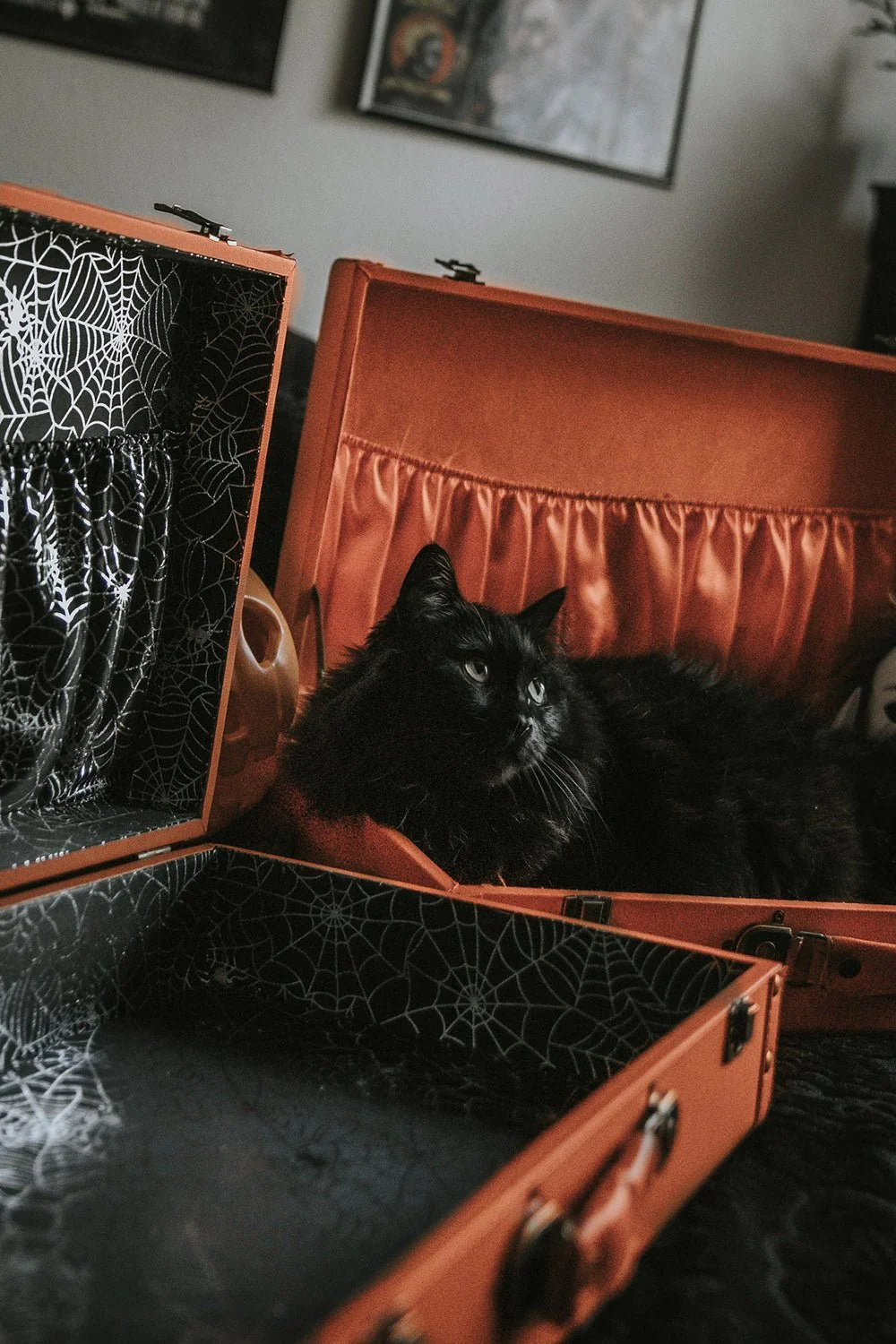Haunted Hallows Trunk [ORANGE/SPIDERWEBS] - Image 8