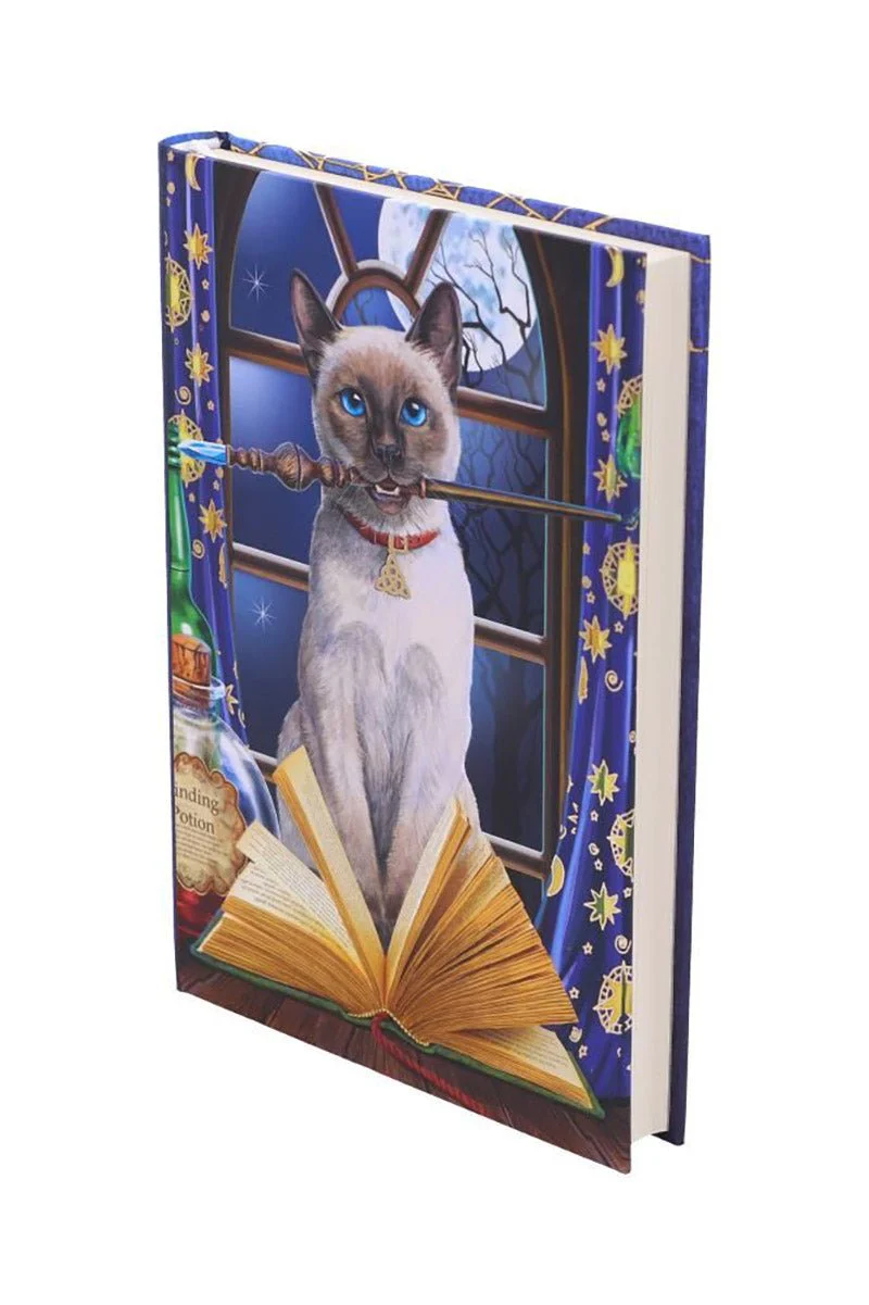 Hocus Pocus Journal - Image 2