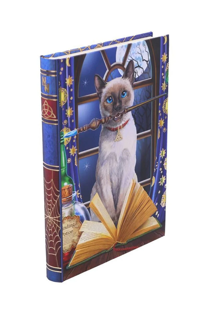 Hocus Pocus Journal - Image 4