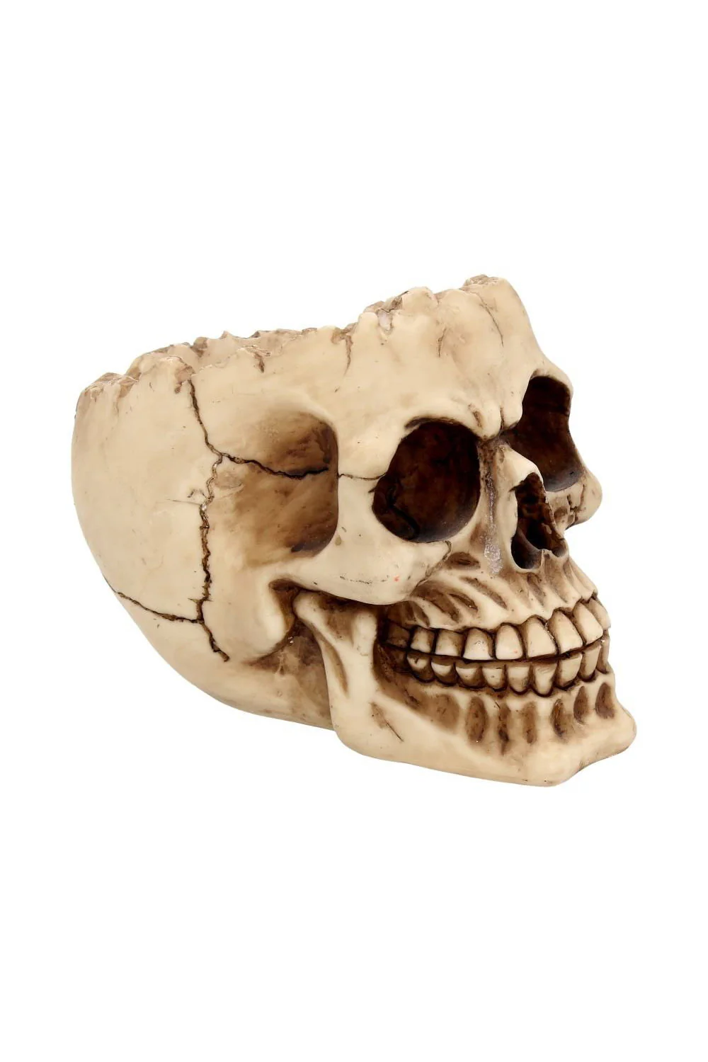 Lobo Skull Bowl