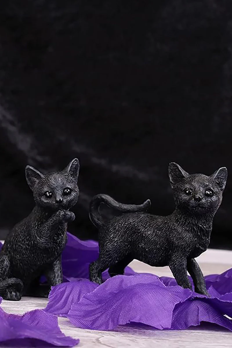 Lucky Black Cat [MYSTERY ITEM] - Image 2