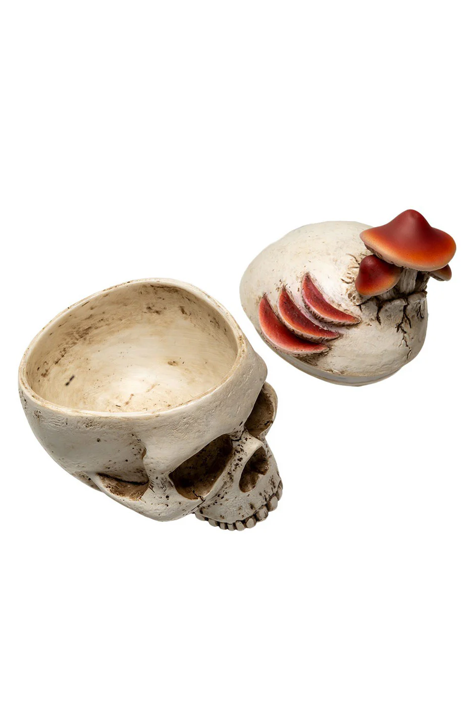 Mushroom Skull Stash Box - Image 3