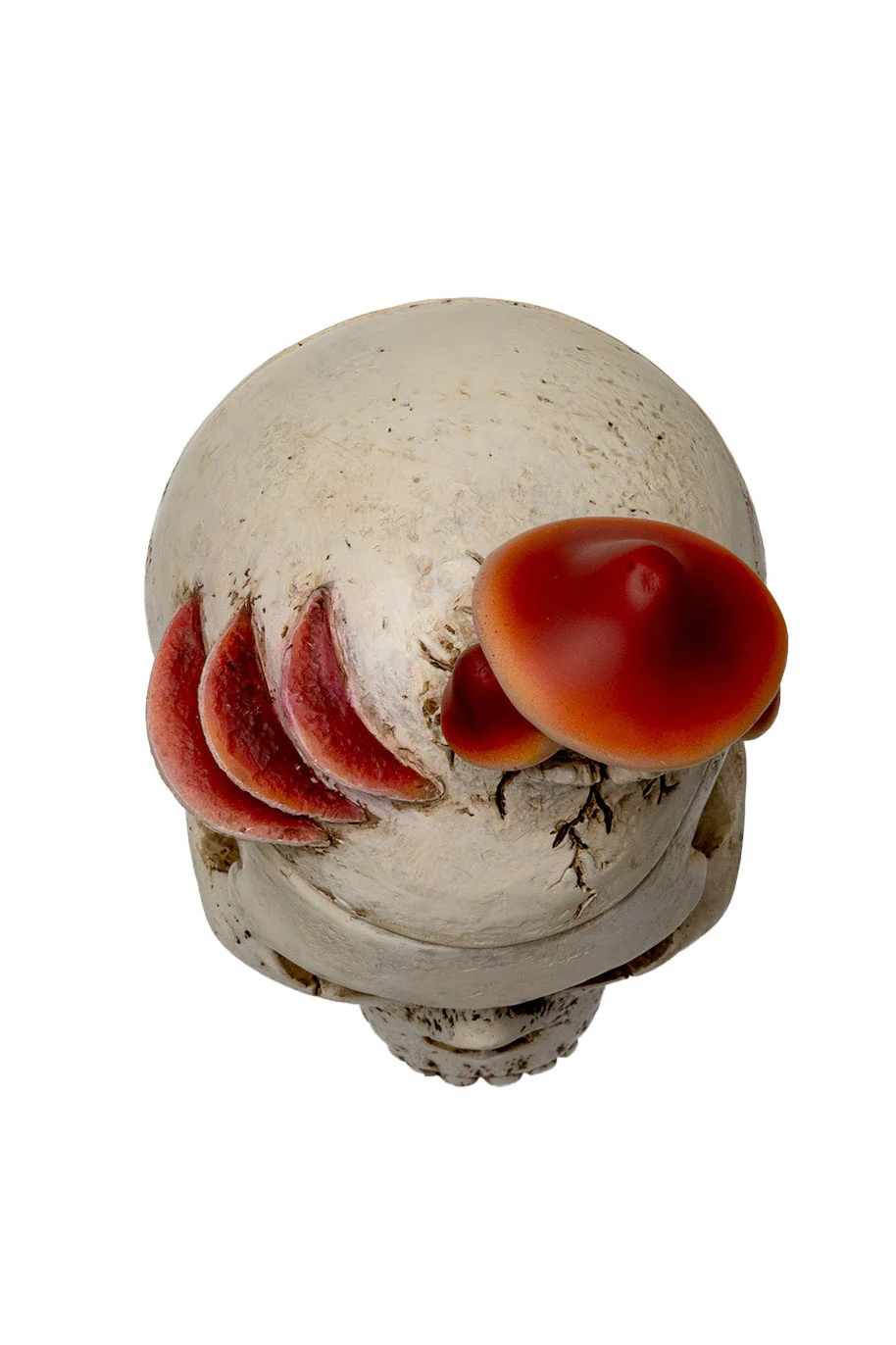 Mushroom Skull Stash Box - Image 4