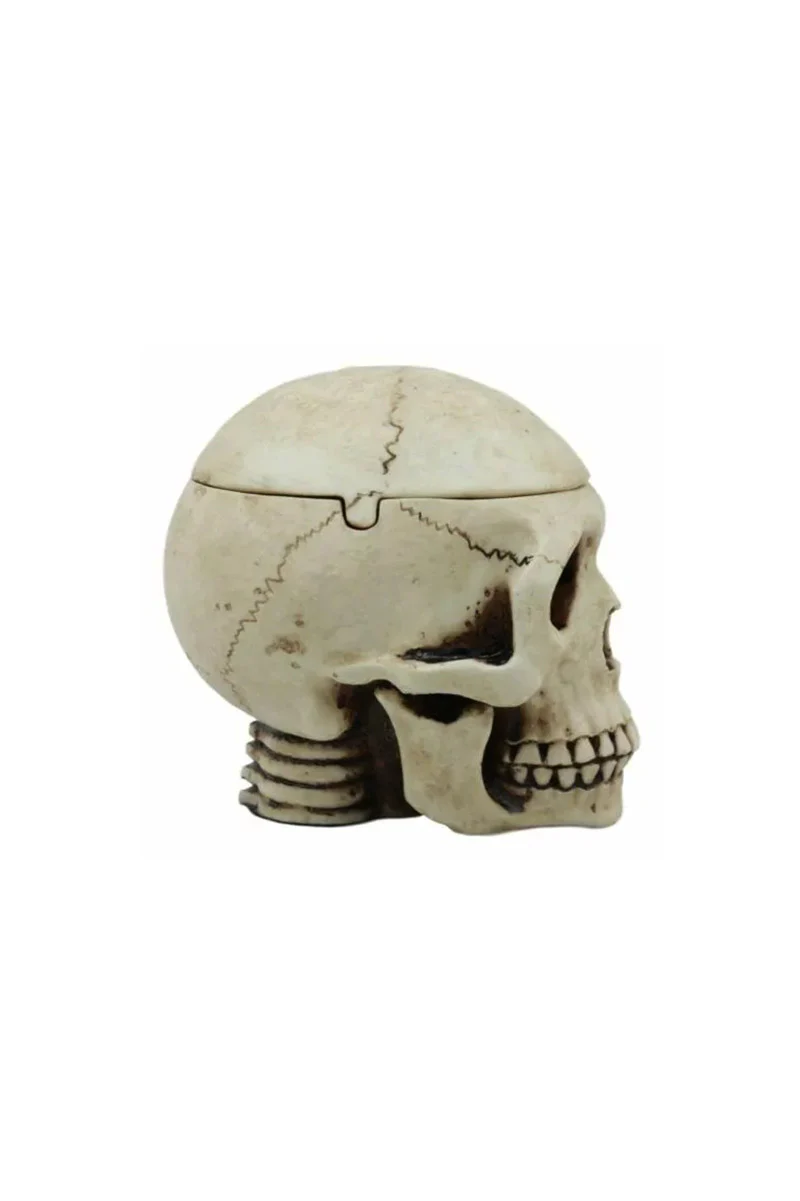 Skull Box Ashtray - Image 3
