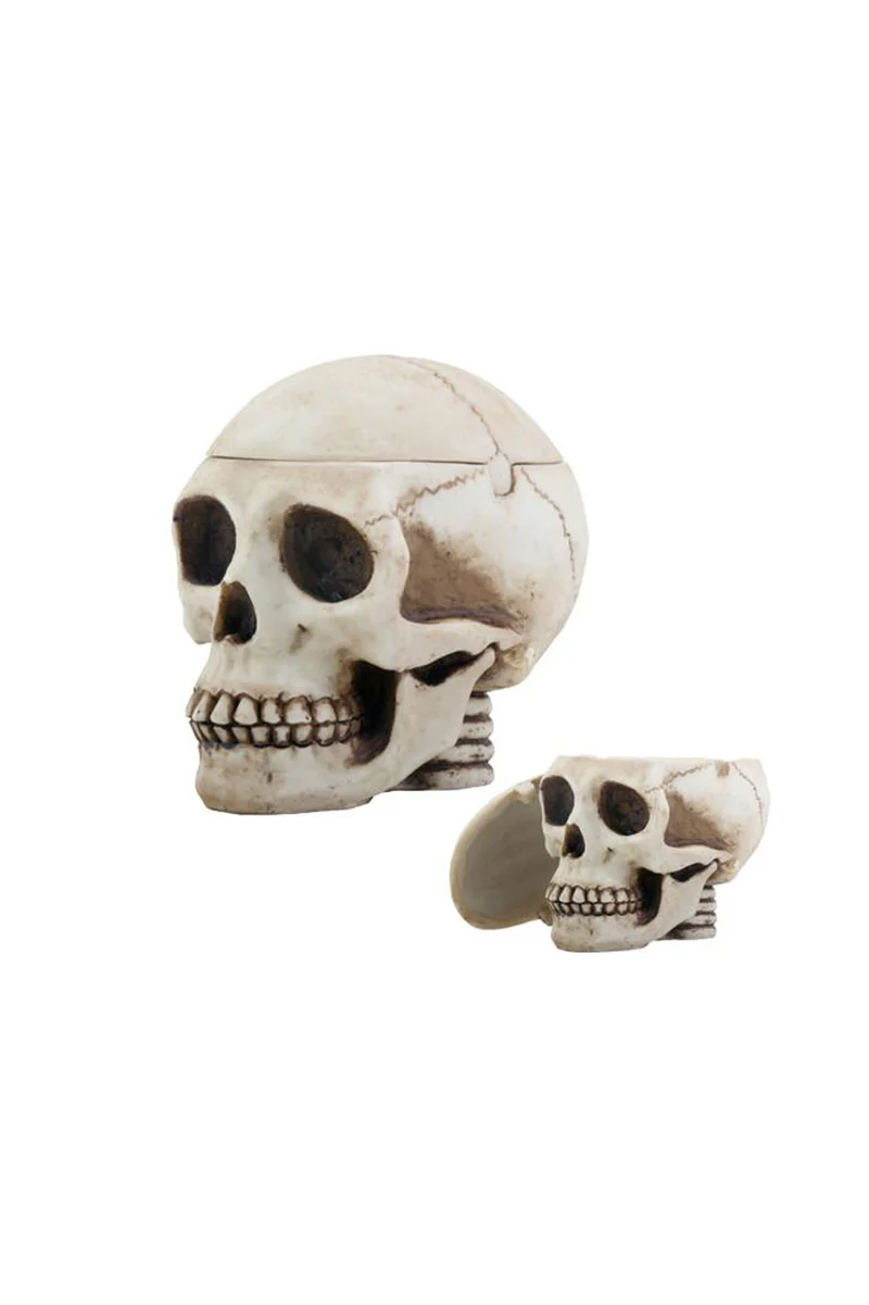 Skull Box Ashtray - Image 4
