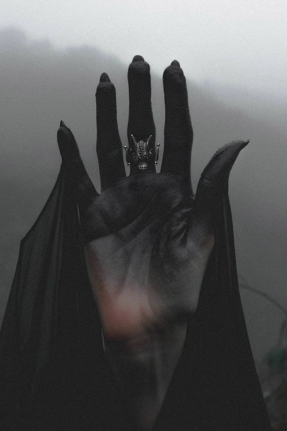 Nightflyer Ring - Image 9