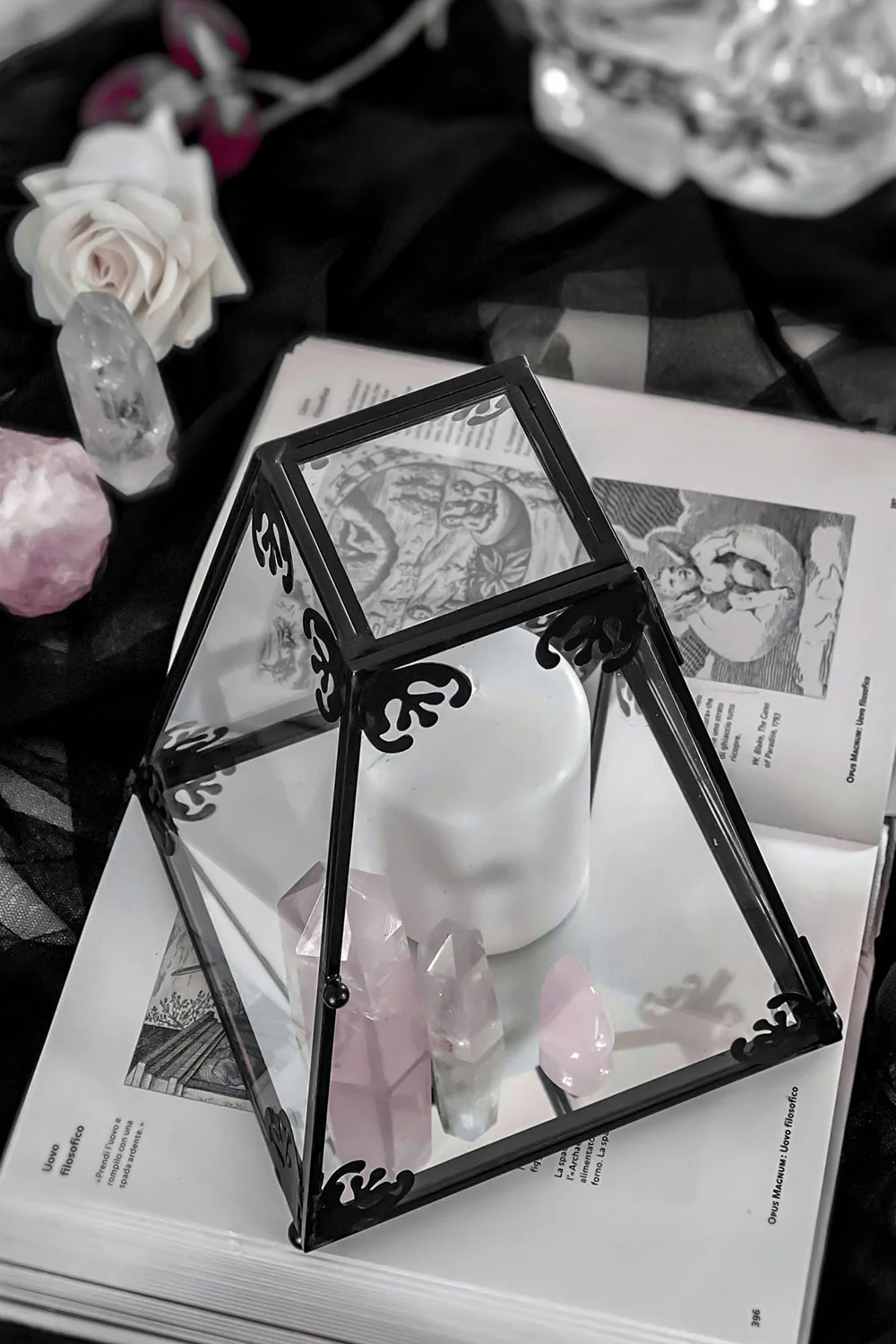 Nova Glass Display Case - Image 4