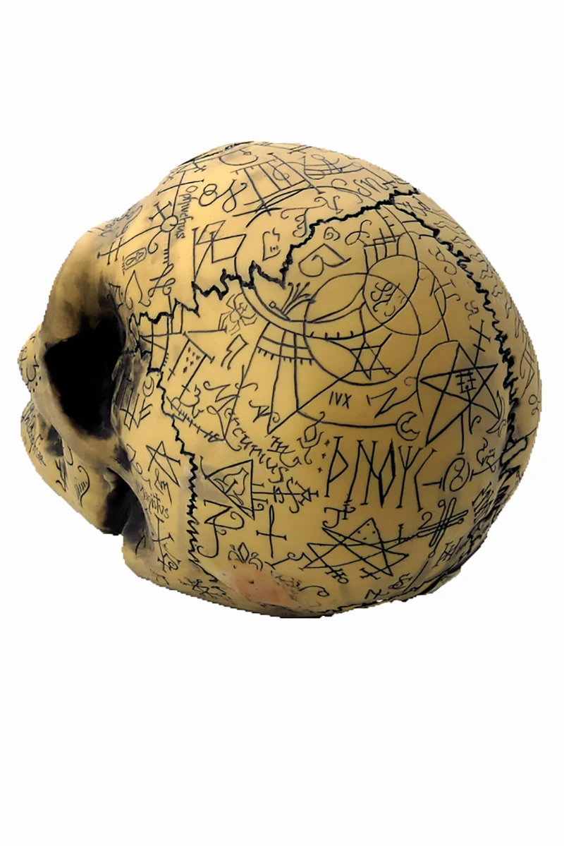 Omega Skull - Image 3