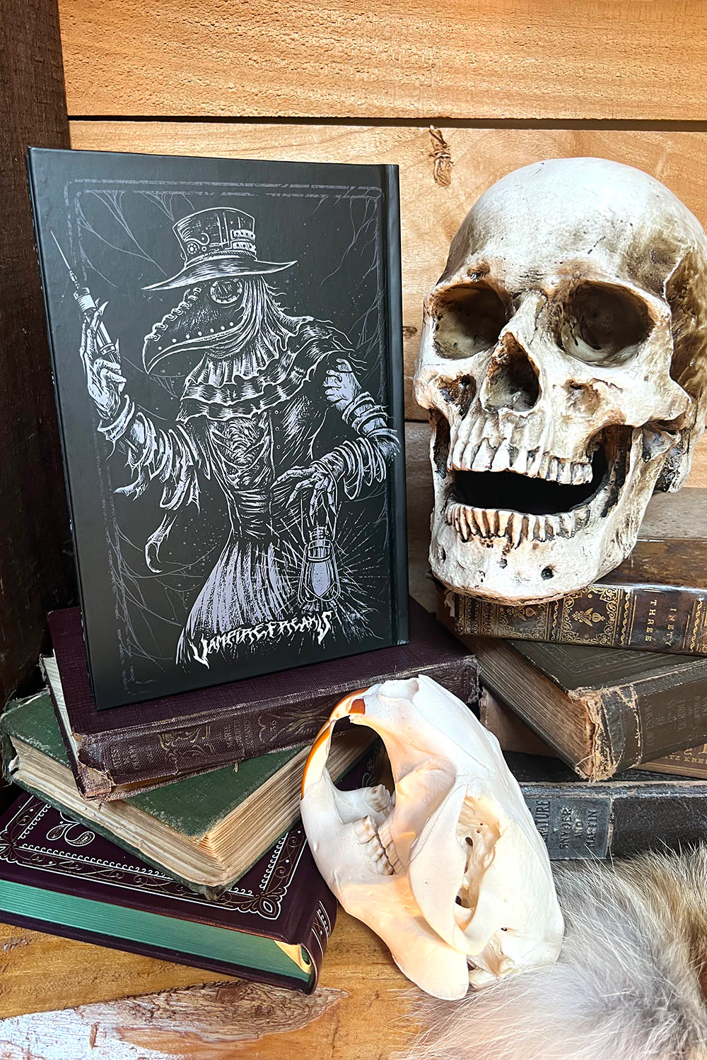 Plague Doctor Journal - Image 9