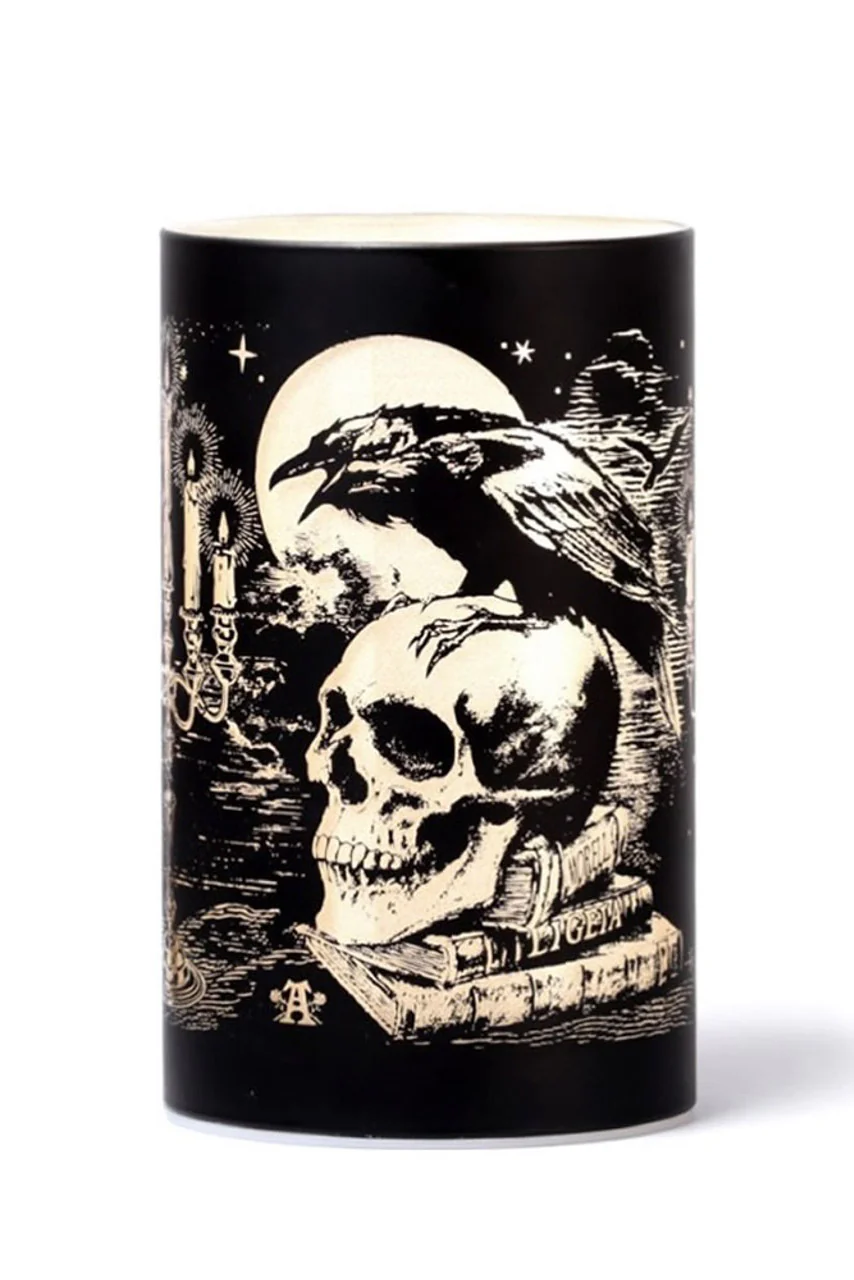 Poe's Raven LED Light - Image 2