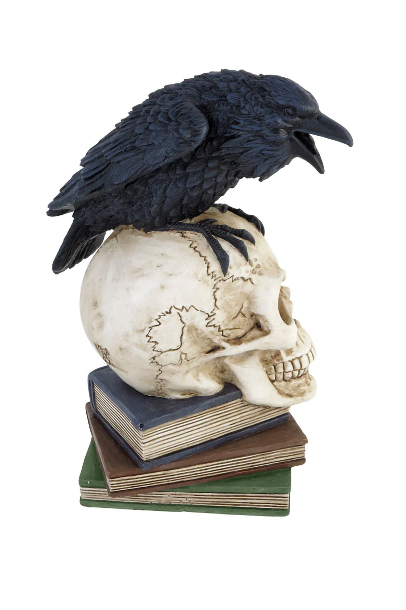 Poe's Raven Skull - Image 4