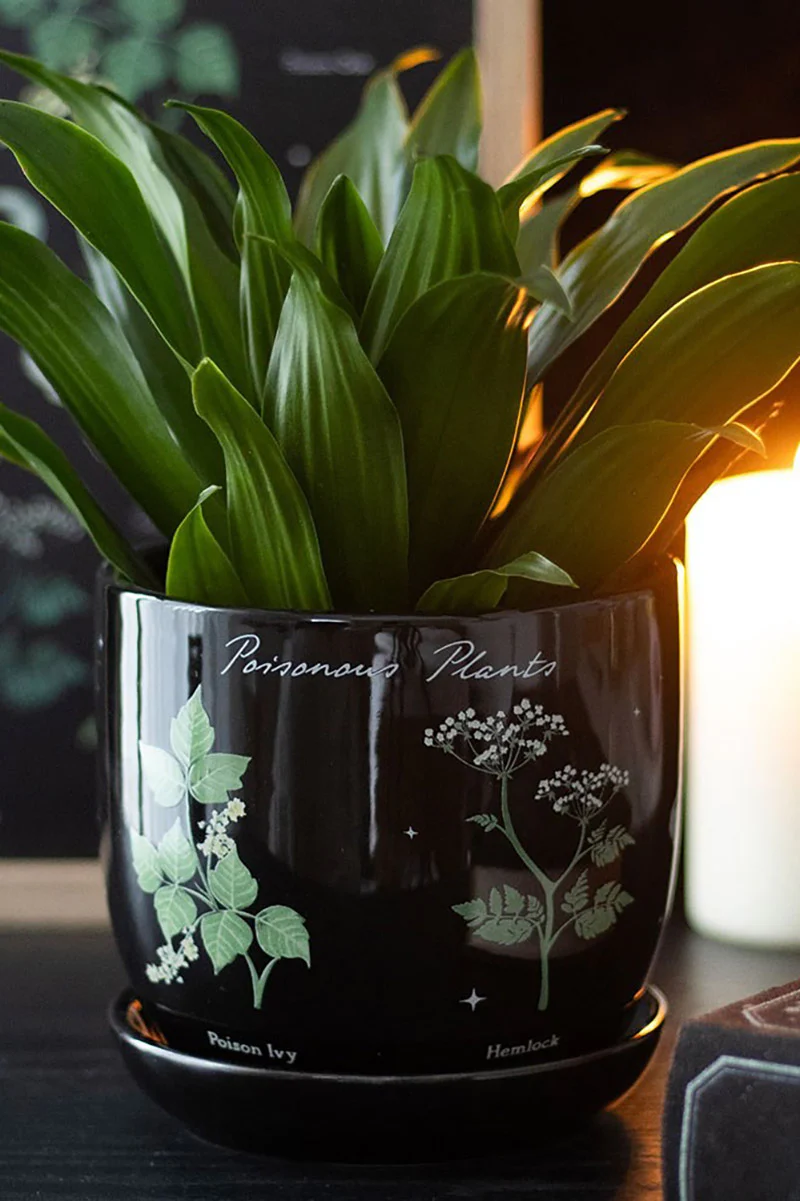 Poisonous Plants Planter