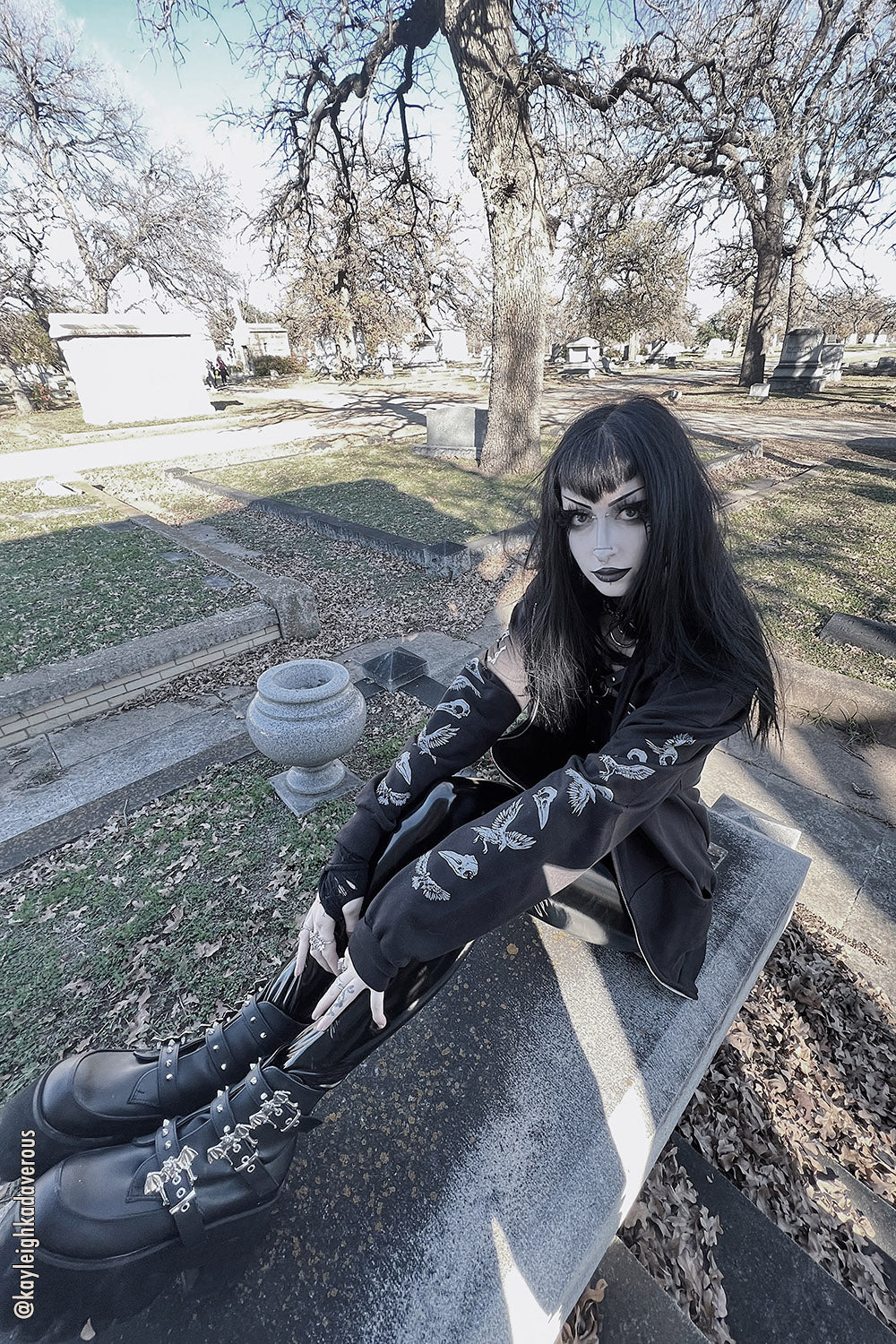 Quoth the Raven Hoodie [GRAY] - Image 10